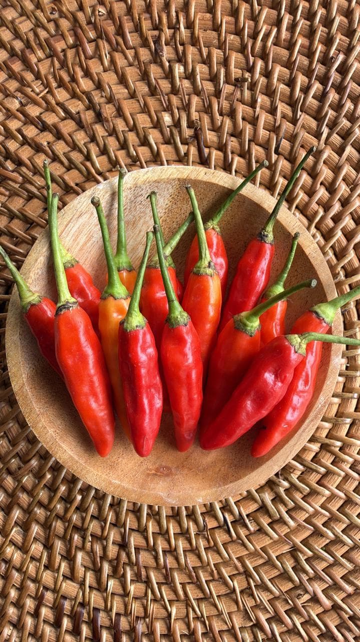 CABE MERAH RAWIT