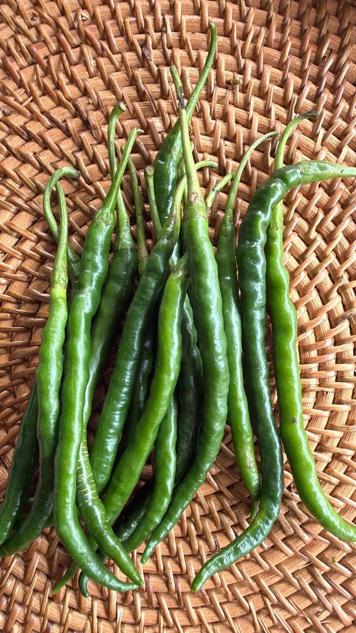 CABE HIJAU KERITING