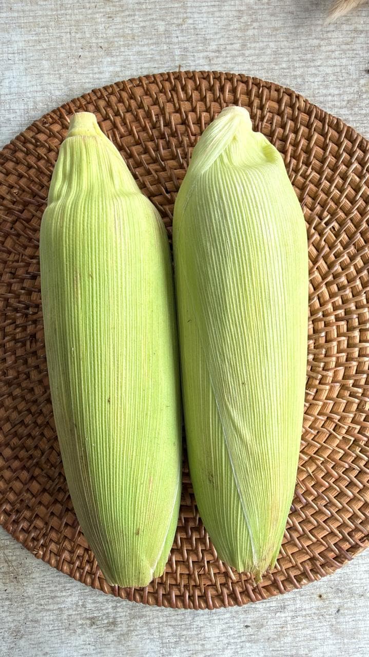 JAGUNG MADU