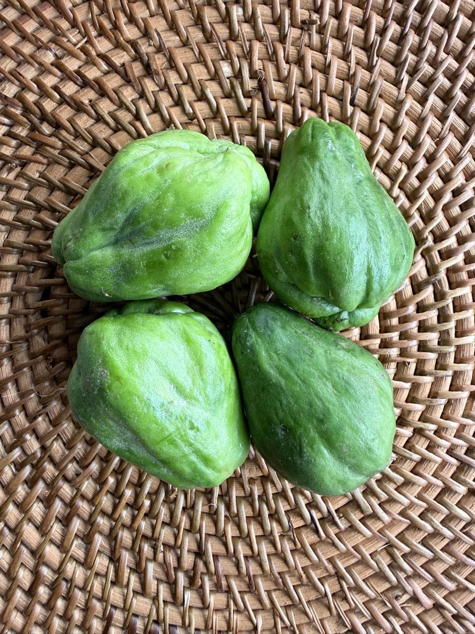 LABU SIAM KECIL