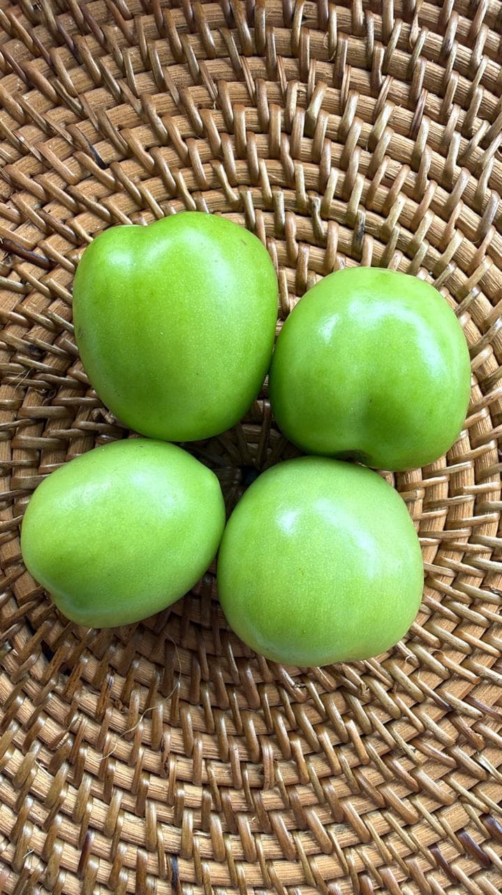 TOMAT HIJAU