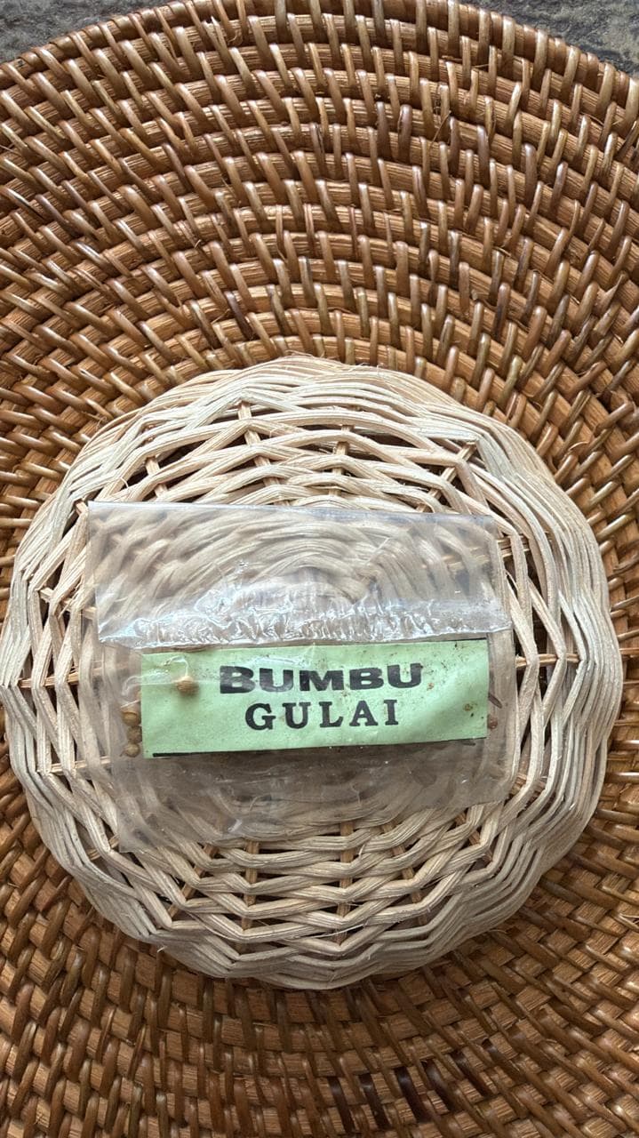 REMPAH BUMBU GULAI