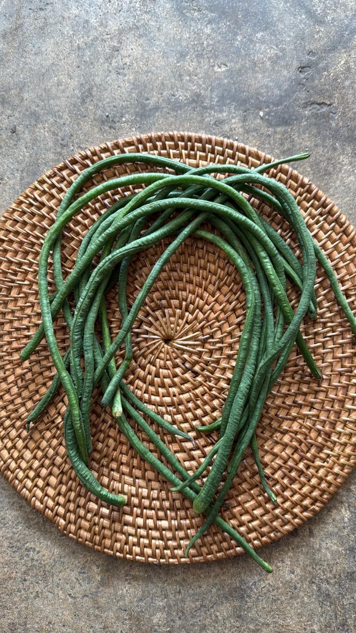 KACANG PANJANG
