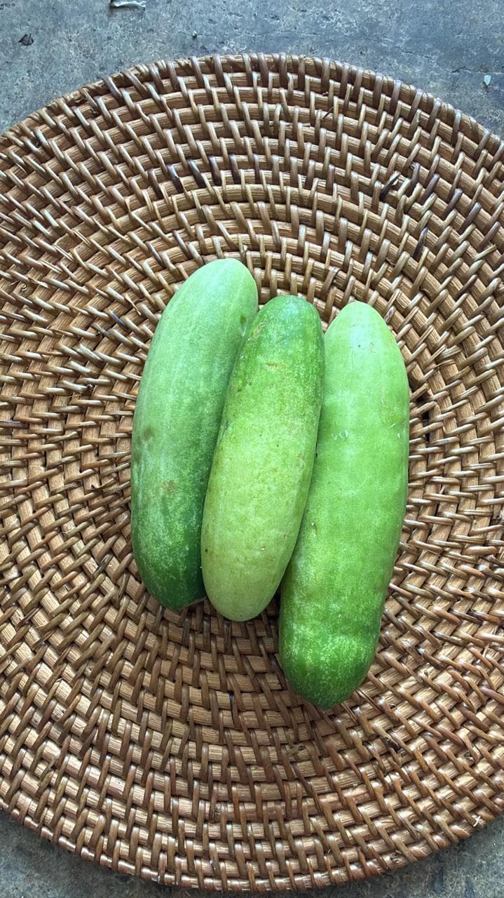TIMUN
